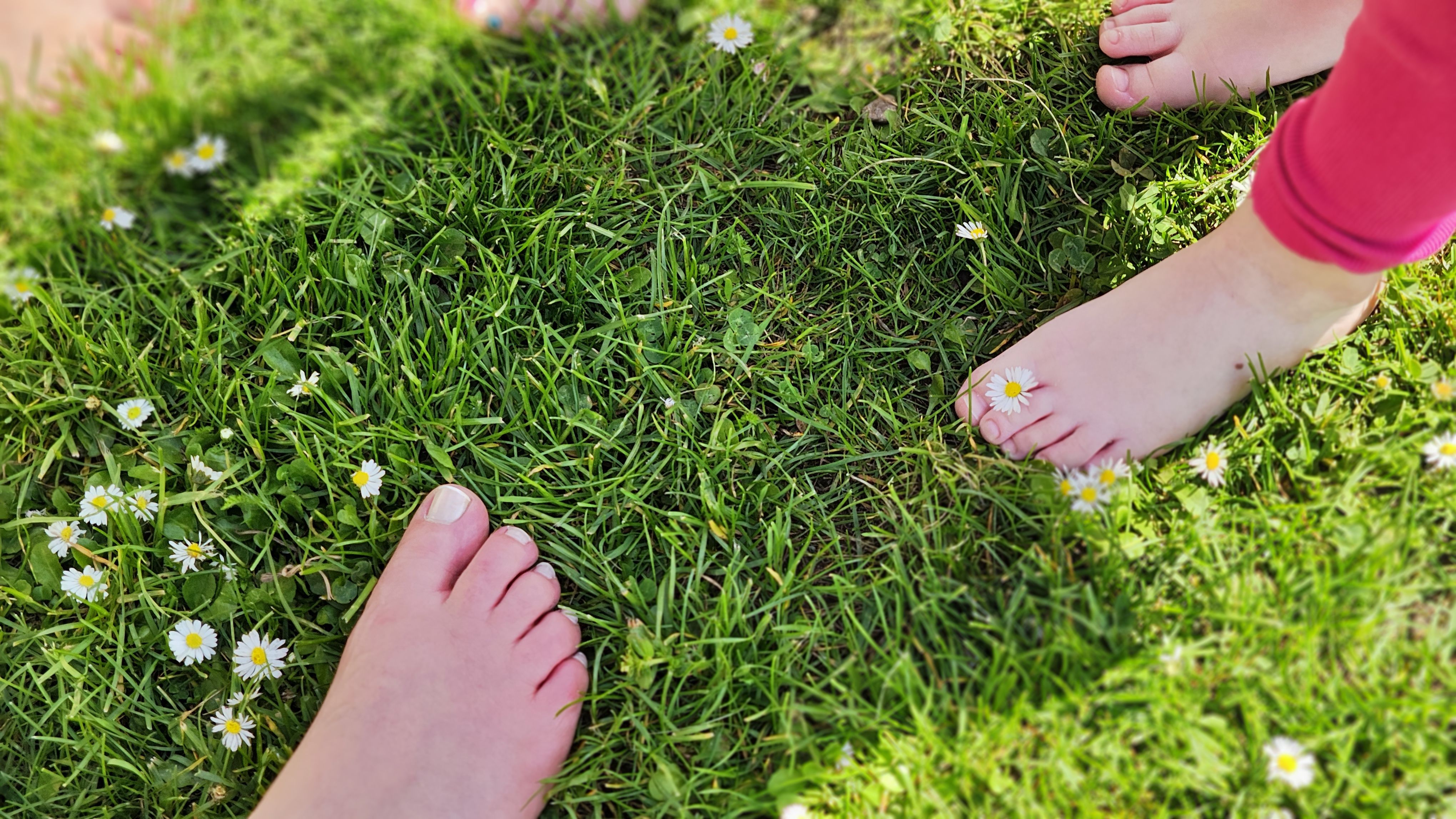 Kindergarten Lieserhofen - Füße mit Gänseblümchen im Garten 