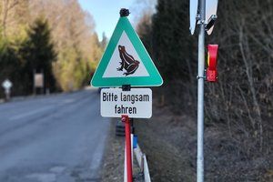 Sie sehen die Tafel die auf die Frösche hinweist. Sie steht am Straßenrand uns soll die Autofahrer zur langsamen weiterfahrt bewegen.