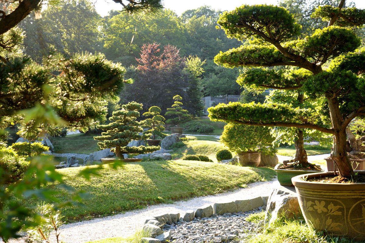 Ein Bild vom Bonsaimuseum der Marktgemeinde Seeboden am Millsätter See, ein einblick in den wunderschönen Garten von Familie Klösch. Foto: Bonsaimuseum in Seeboden 2 - Familie Klösch - www.bonsai.at