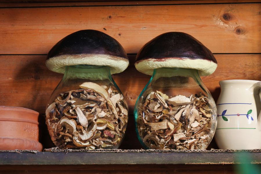 Symbolfoto: Getrocknete Pilze im Glas