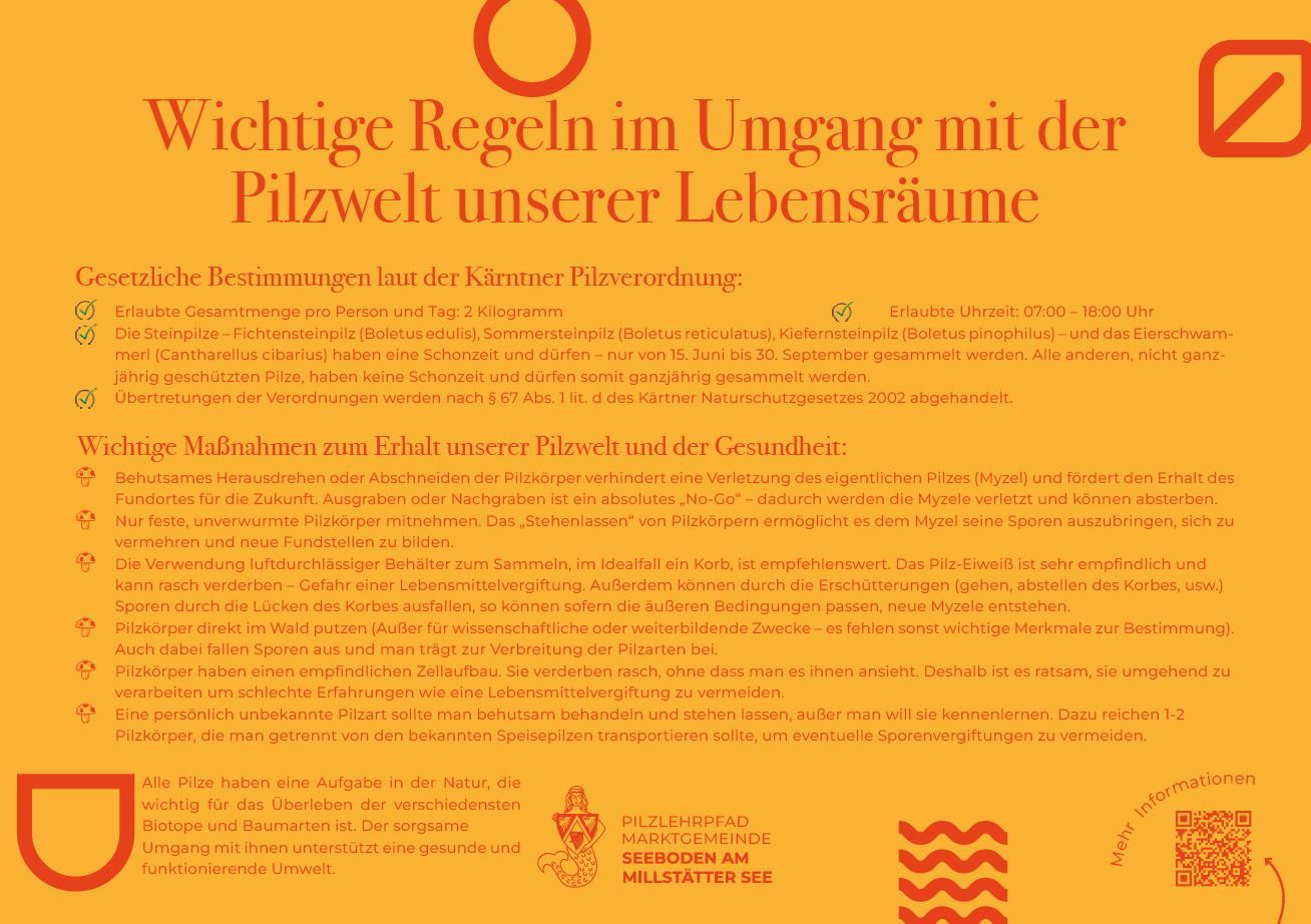 Sie sehen die Tafel mit allen Informationen zu den Wichtigen Regeln beim Pilzesammeln