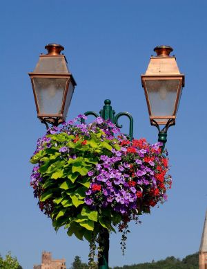 Zwei Straßenaternen die mit Blumen dekoriert sind als Symbolfoto