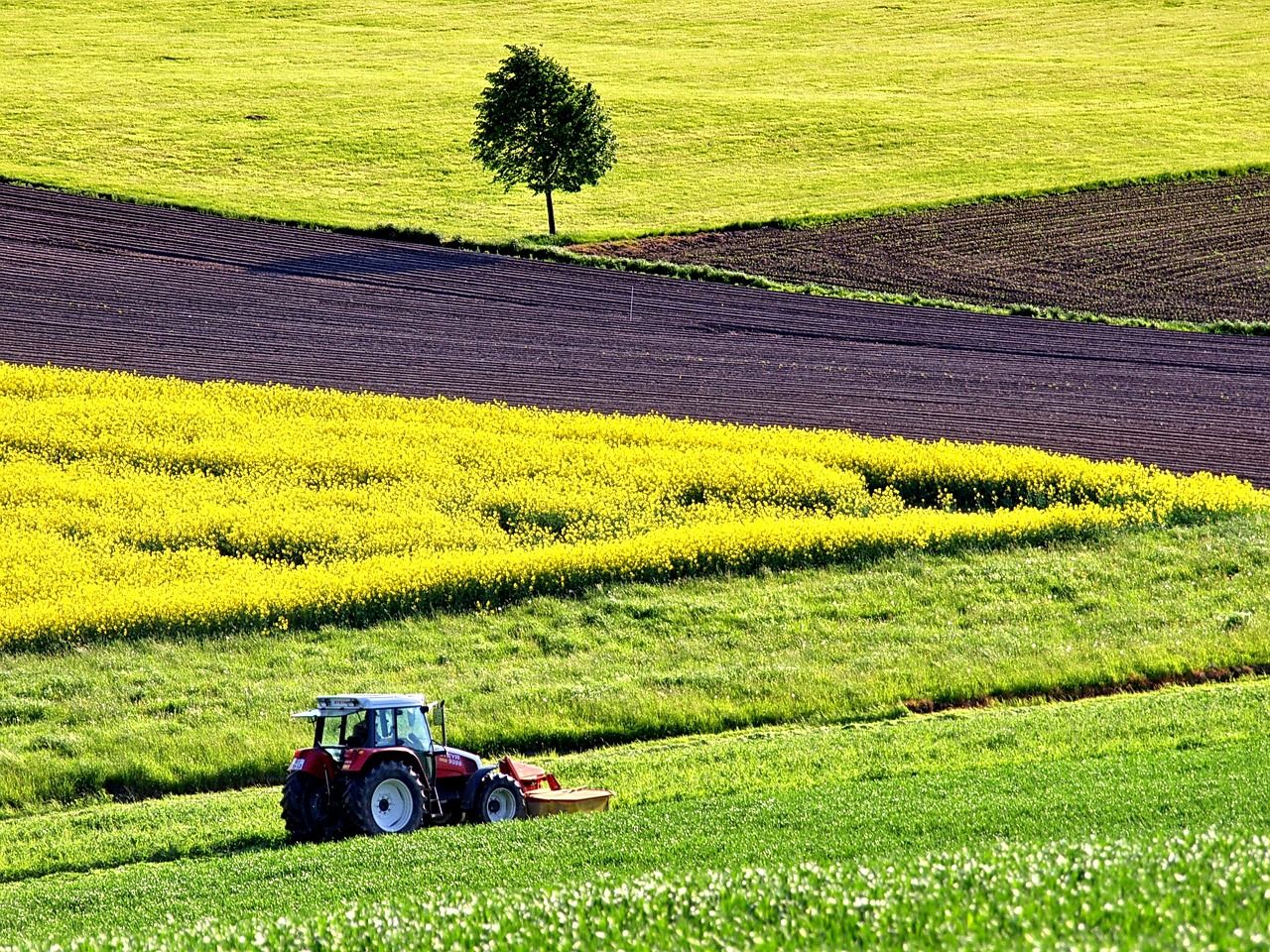 Sie sehen ein Bild, auf dem Sie einen Traktor auf einem Feld sehen. Symbolfoto für Land und Forstwirtschaft.