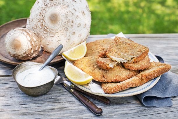 Symbolfoto: Gebackener Parasol mit Zitrone und Kräutersauce auf einem Brett