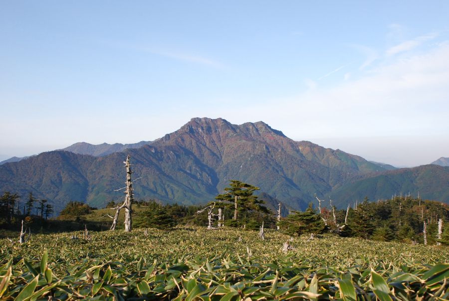 Sie sehen ein Bild welches in der Luftpersepektive über ein japanisches Feld, im Hintergrund erstreckt sich eine Gebirgskette. 