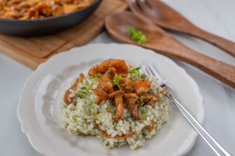 Symbolfoto: Risotto mit Pilzen garniert